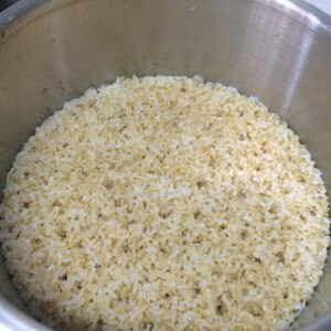 圧力鍋で炊く押し麦入り玄米ご飯